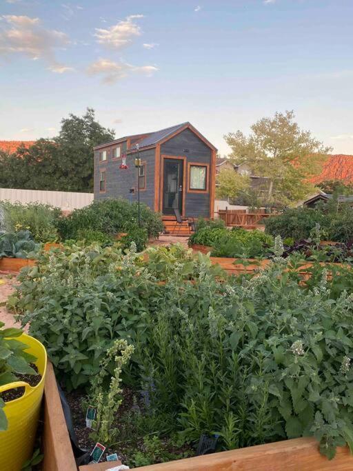 Atlantis Garden Tiny Home Hildale Zewnętrze zdjęcie