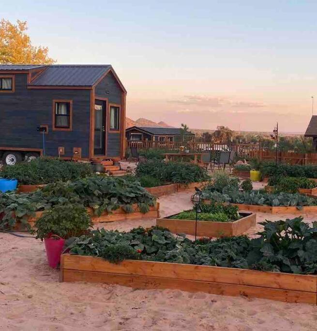 Atlantis Garden Tiny Home Hildale Zewnętrze zdjęcie