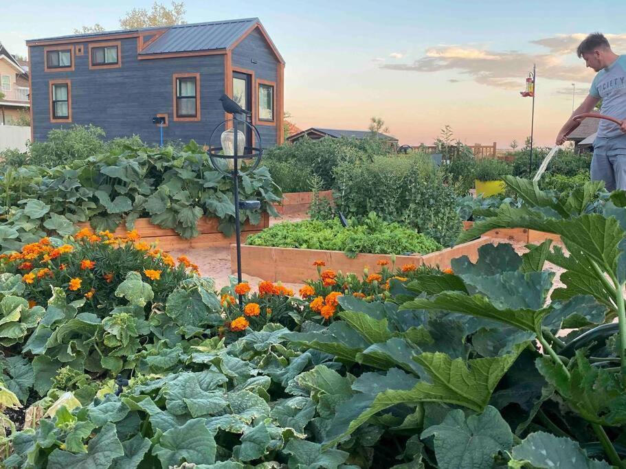 Atlantis Garden Tiny Home Hildale Zewnętrze zdjęcie