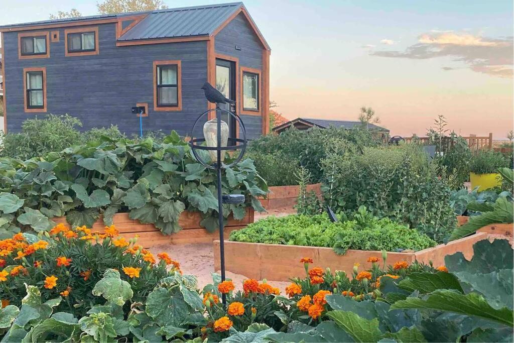 Atlantis Garden Tiny Home Hildale Zewnętrze zdjęcie